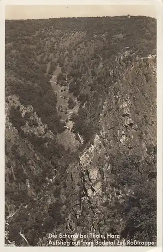 Thale a.Harz, Schurwald, Aufstieg aus dem Bodetal zur Roßtrappe gl1937 F3536