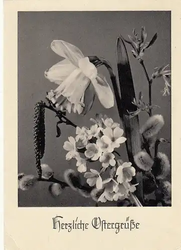 Ostern-Wünsche mit Blumen und Kätzchen glum 1950? F3180