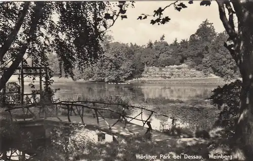 Wörlitzer Park bei Dessau, Weinberg gl1961 F9678