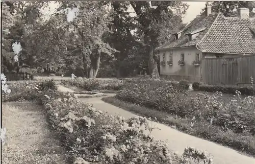 Arnstadt in Thüringen, Stadtpark glum 1960? F9715