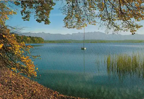 Partie bei Murnau am Staffelsee gl1976 F4259