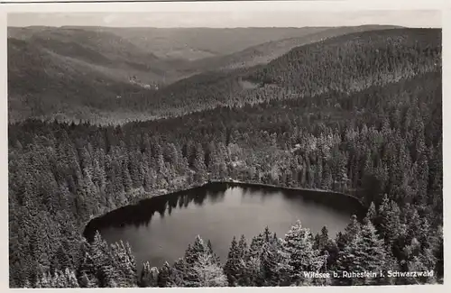 Wildsee bei Ruhestein , Schwarzwald ngl F3363