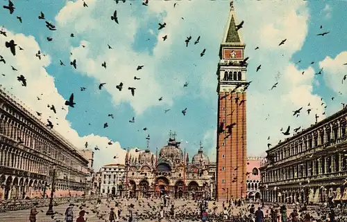 Venezia, Piazza S.Marco, Piccionata ngl F9642