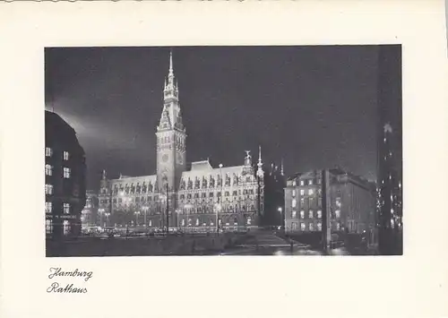 Hamburg, Rathaus ngl F5658