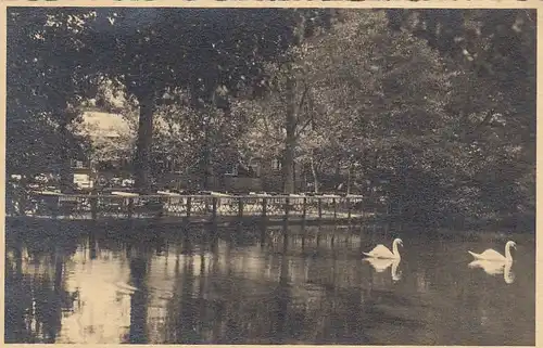 Höftgrube, Post Dobrock, Schwanenteich im Wingst, Gartenwirtschaft ngl F5893