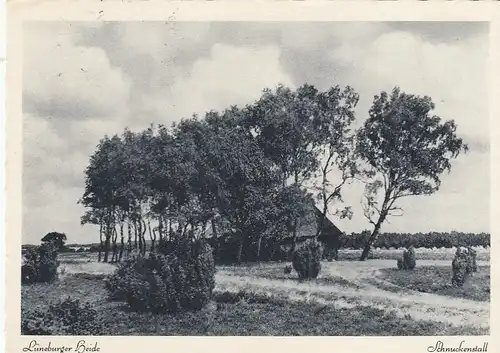 Lüneburger Heide, Schnuckenstall gl1955 F5858