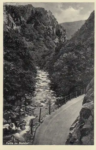 Partie im Bodetal im Harz, ngl F9823