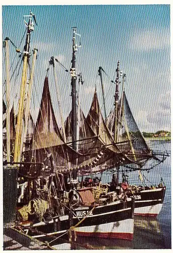 Husum, Nordsee, Am Hafen, Fischerboote ngl F6241