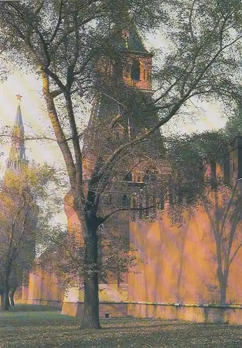 Moskow, Kremlin, Annunciation Tower ngl G0262