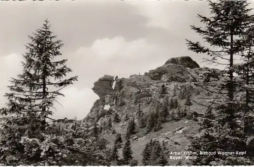 Arber Richard Wagner-Kopf, Bayerischer Wald gl1964 F4004