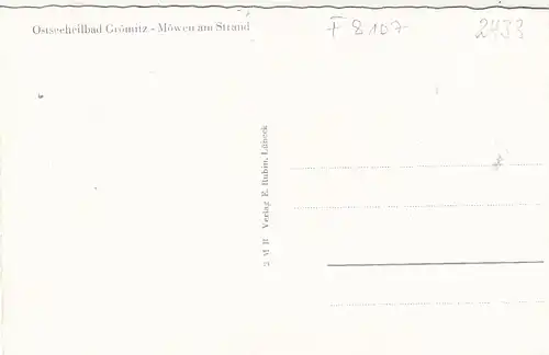 Ostseeheilbad Grömitz in Holst., Möwen am Strand ngl F8107