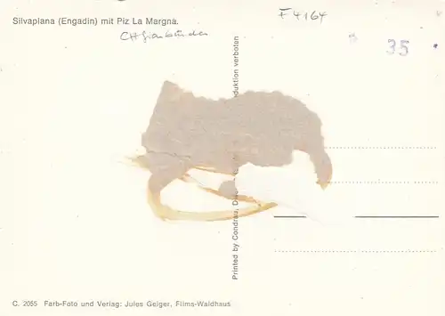 Silvaplana (Engadin) mit Piz La Magna ngl F4164