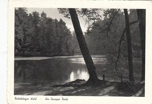 Bad Meinberg, am Donoper Teich gl1957 F6668