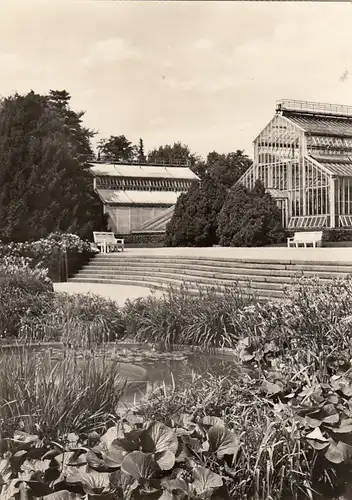 Berlin-Dahlem, Botanischer Garten, Engler-Terrasse ngl F7236