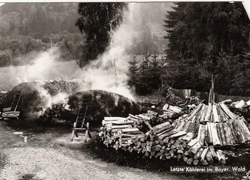 Zwiesel, Letzte Köhlerei im Bayer.Wald, Oskar Häusler ngl G0191