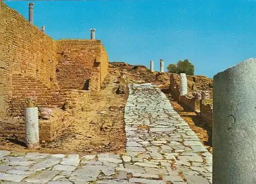 Tunesien, Carthage, ruines romaines ngl F4472