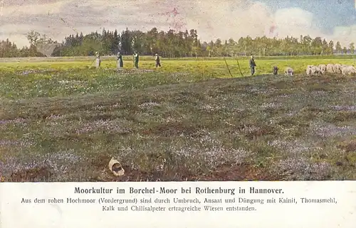 Borchel-Moor bei Rothenburg in Hanover ngl F8220