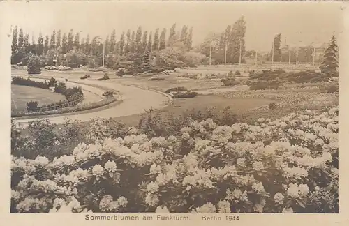 Berlin, Sommernlumen am Funkturm 1944 ngl F6955