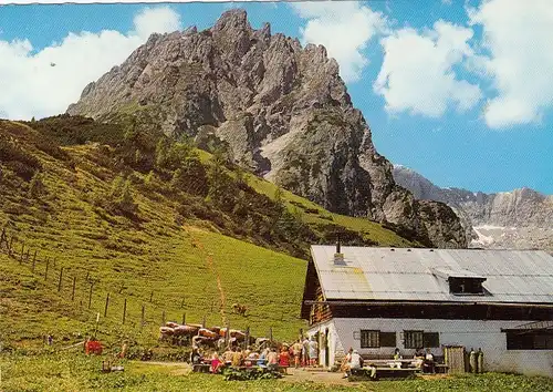 Mittenfeld-Alm nahe Mühlbach, Mitterbergalm ngl G0836