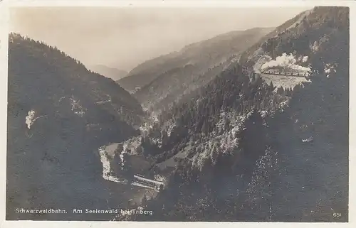 Schwarzwaldbahn, am Seelenwald bei Triberg ngl F8414