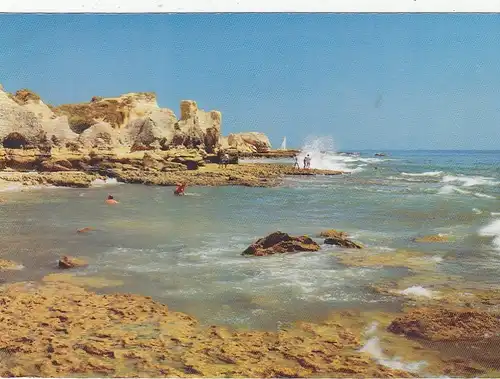 Praia do Castello ngl G0585