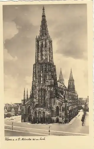 Ulm a.D., Münster ngl F8813