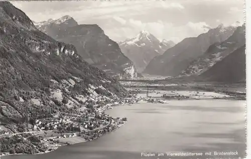 Flüelen am Vierwaldstättersee mit Bristenstock ngl F4708