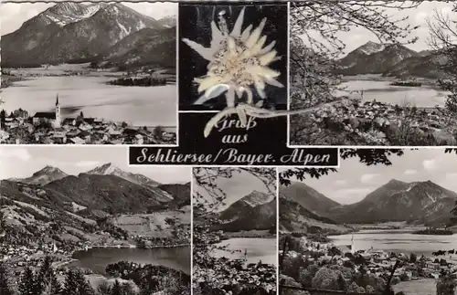 Schliersee, Mehrbildkarte mit echtem Edelweiß ngl G1002