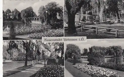 Rosenstadt Uetersen, Mehrbildkarte gl1961 F5779