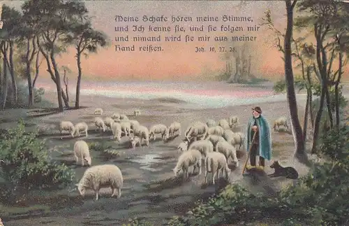 Religion: Meine Schafe hören Meine Stimme ... glum 1910? F9080