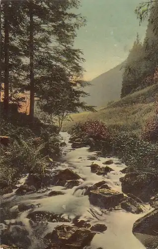 Wildbach im Schwarzwald, Schweinbachtal glum 1910? F9090