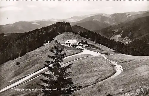 Münstertal Schwarzwald Almgaststätte Kälbelesscheuer ngl F9183