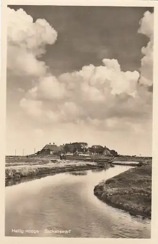 Hallig Hooge, Backenswarf ngl F6212