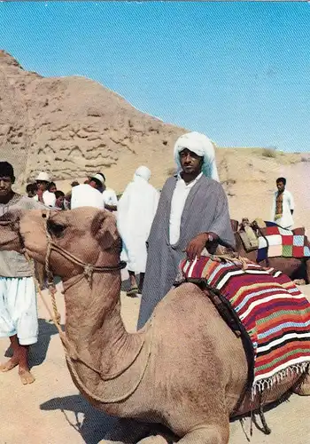 Tunesien, ein Kamel-Treiber (?) gl1968 F9309