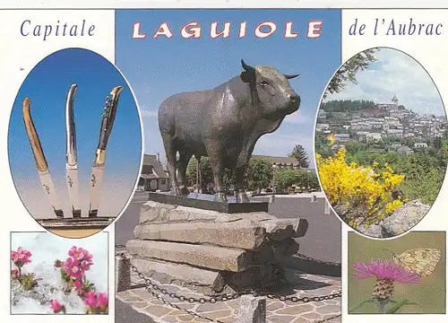 Lagiole (Aveyron) Mehrbildkarte ngl G1535