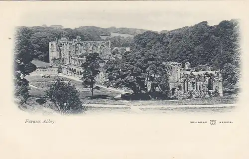 Furness Abbey ngl F9487