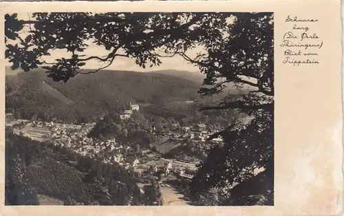 Schwarzburg im Thür.Wald, vom Trippstein glum 1930? F8814