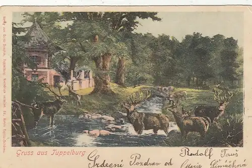 Gruss aus Tuppelburg, Litho glum 1900? F9548
