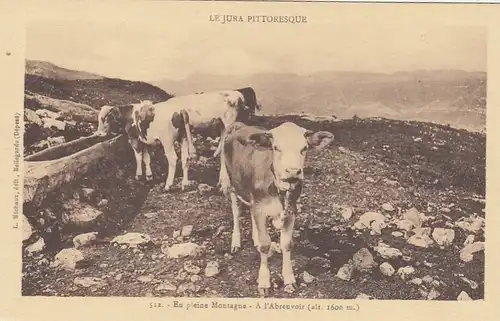 En pleine de Montagne - A L'Abreivoir ngl F8922