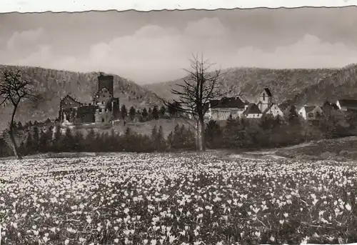 Burgruine Zavelstein Schwarzwald ngl F9742