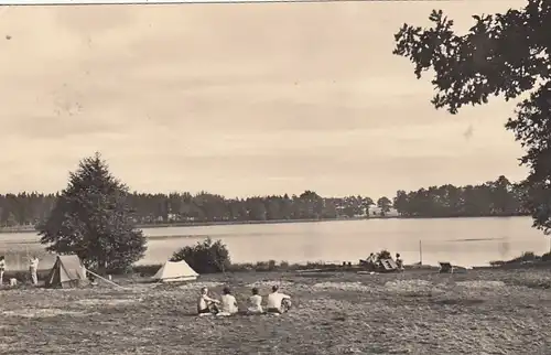 Dreba Kr. Pößnitz, Thür., Zeltplatz am Plothenteich gl1964 F9709