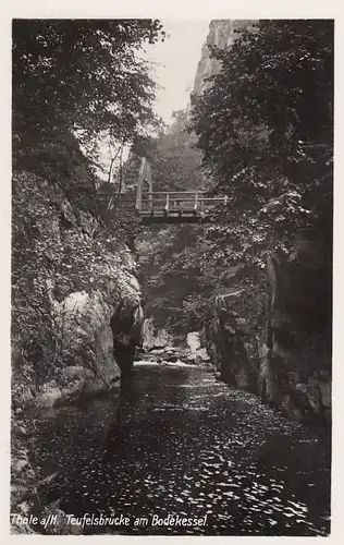 Thale (Harz), Teufelsbrücke am Bodekessel ngl F9838