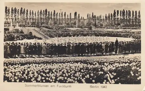 Berlin, Sommernblumen am Funkturm 1943 ngl F6956