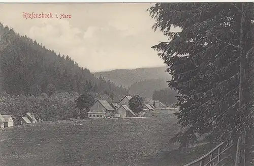 Riefensbeek im Harz, Ortsansicht ngl G2003