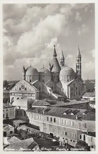 Padova, Basilica di S.Antonio, Cupola e Campanili ngl F9209