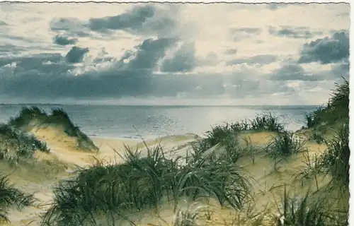 Nordseeinsel Sylt, Dünen und Strand gl1957 F6382
