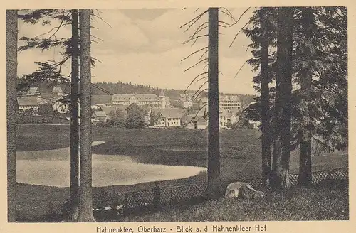 Hahnenklee Oberharz, Blick a.d.Hahnenkleer Hof ngl G2209