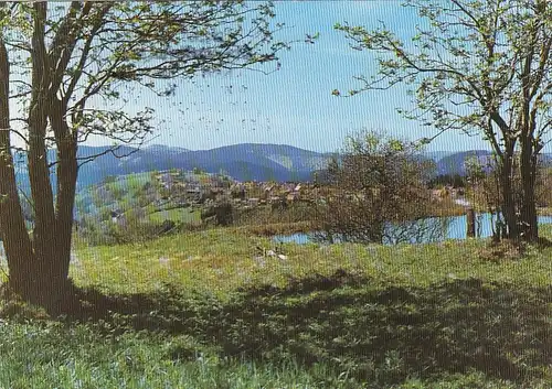 Blick auf St.Andreasberg/Oberharz, gl1993 F9320