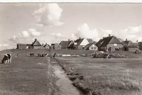 Hallig Hooge, Teilansicht ngl F6208