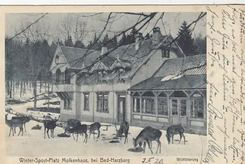 Bad Harzburg, Wildfütterung am Molkenhaus gl1920 G2233